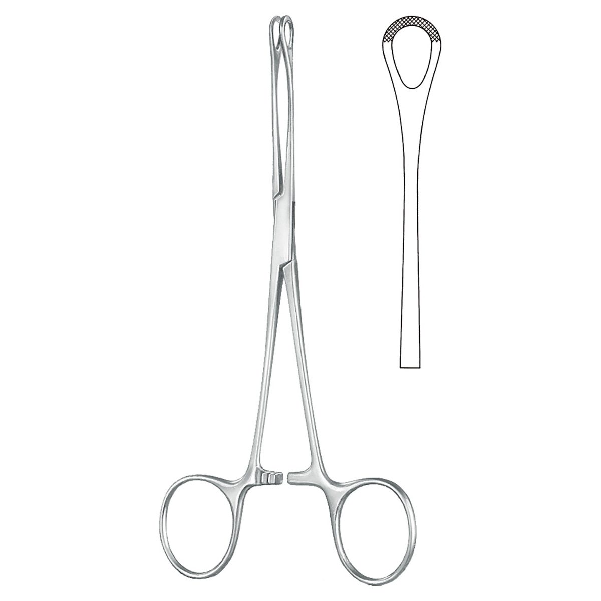 Stomach Intestines Rectum Intestinal Grasping Forceps Acc To