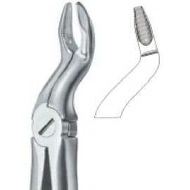 Extracting Forcep English Pattern