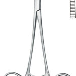 Artery forceps , Hemostatic forceps, acc. to Mosquito, 1 x 2 teeth, curved