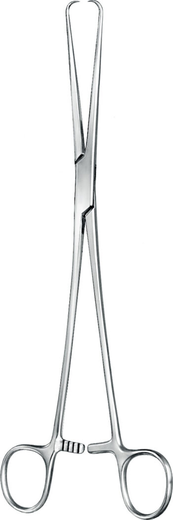 Gynecology , Uterine tenaculum forceps, acc. to Schröder, 1 x 1 teeth