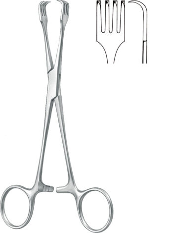 Gynecology , Uterine tenaculum forceps, acc. to Braun, 4 x 4 teeth