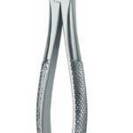 Extracting Forceps , upper incisors and cuspids
