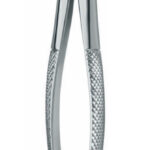 Extracting Forceps , lower bicuspids