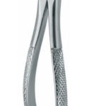 Extracting Forceps , upper universal molar