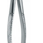 Extracting Forceps , right lower molars