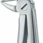 Extracting Forceps , lower roots