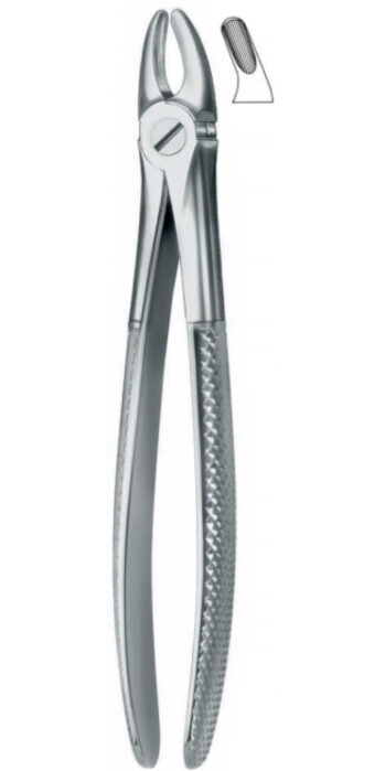 Extracting Forceps , upper bicuspids and molars
