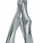 Extracting Forceps , upper incisors and cuspids, pediatric mini