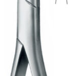 Extracting Forceps , upper incisors and bicuspids, serrated