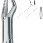 Extracting Forceps , upper molars
