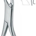Extracting Forceps , lower molars, pediatric