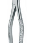 Extracting Forceps , lower molars