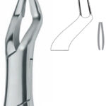 Extracting Forceps , Parmly, upper bicuspids, molars and roots