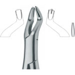 Extracting Forceps , left upper molars