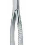 Extracting Forceps , upper incisors and roots