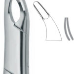 Extracting Forceps , Cryer, upper incisors, bicuspids, and roots