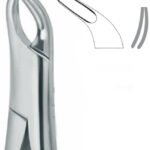 Extracting Forceps , lower universal