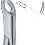 Extracting Forceps , lower universal