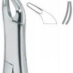 Extracting Forceps , Cryer, lower universal, pediatric